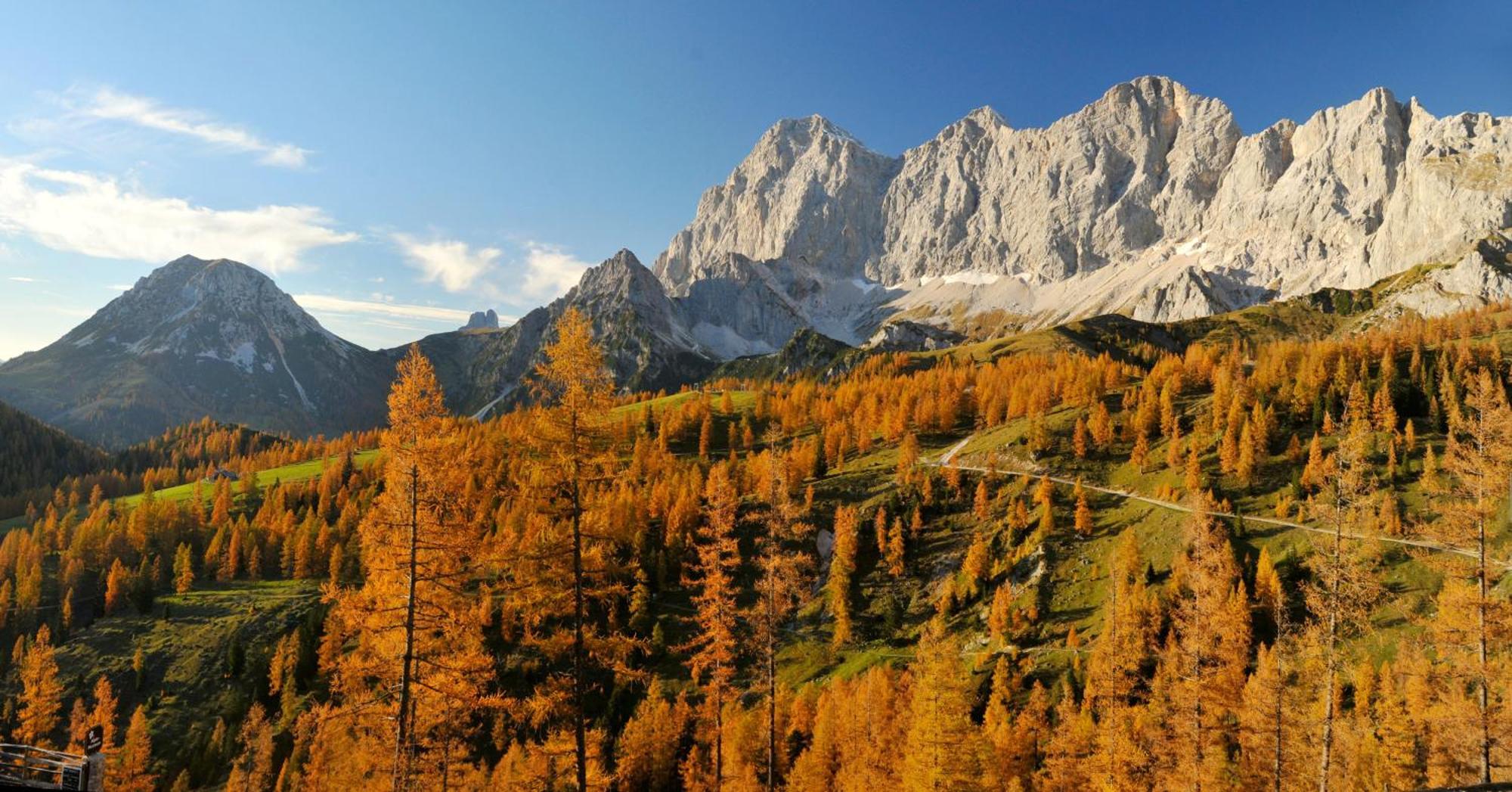 Naturchalet Hoeflehner - Heimgefuehl & Ruhelage An Loipe & Wanderweg Ramsau am Dachstein Ngoại thất bức ảnh