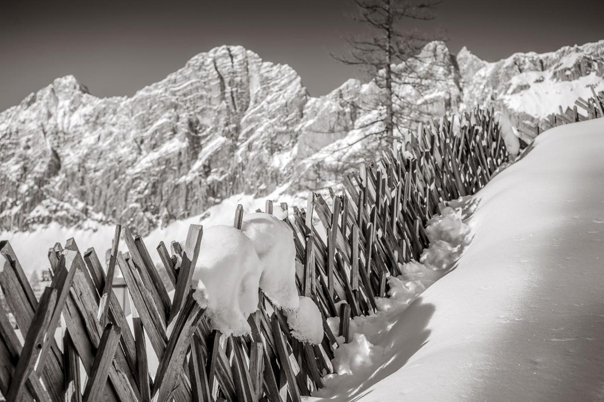 Naturchalet Hoeflehner - Heimgefuehl & Ruhelage An Loipe & Wanderweg Ramsau am Dachstein Ngoại thất bức ảnh