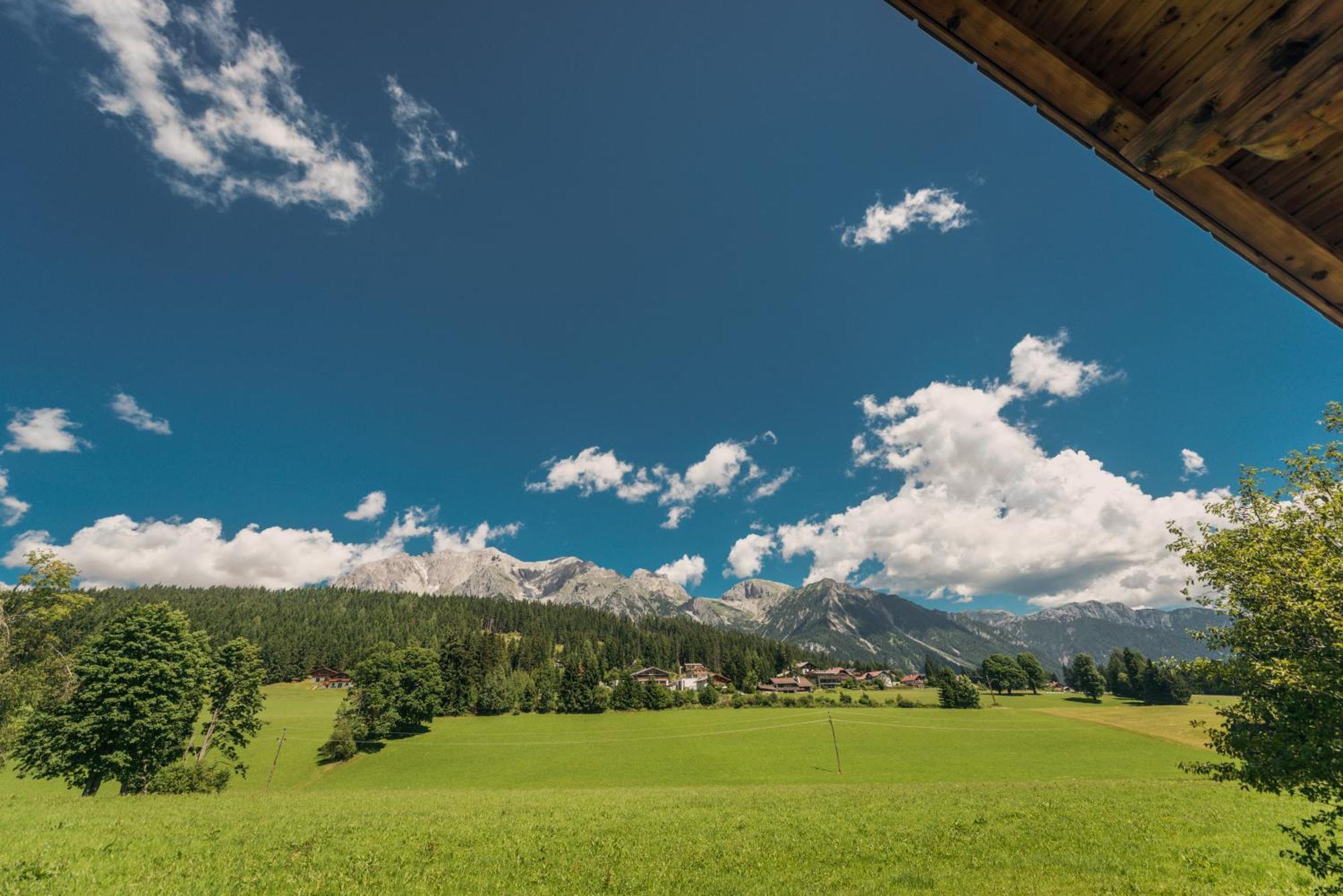 Naturchalet Hoeflehner - Heimgefuehl & Ruhelage An Loipe & Wanderweg Ramsau am Dachstein Ngoại thất bức ảnh